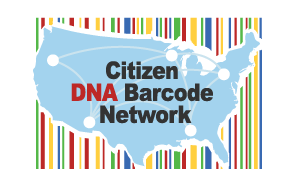 Citizen DNA Barcode Network (includes Barcoding US Ants)
