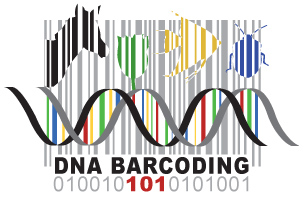 dna barcoding genetic barcode protocol prep planning short bioinformatics uses introduction useful isolating analyzing pcr amplifying collecting specimens iv iii