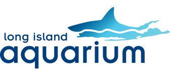 Logo with Long Island Aquarium in blue and shark graphic superimposed over outline of Long Island