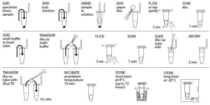 qiagen pcr purification kit protocol pdf